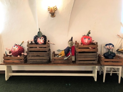 Ovocňáci z našich zahrádek